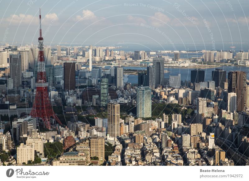 Fernweh | Japan ruft mit seinen Geheimnissen Technik & Technologie Wissenschaften Fortschritt Zukunft Tokyo Asien Hauptstadt Hafenstadt Stadtzentrum Skyline