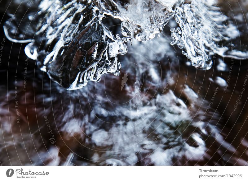 Nasskalt (2/2). Umwelt Natur Wasser Winter Eis Frost frieren ästhetisch frisch braun schwarz weiß Brunnen Wasserspiegelung Strukturen & Formen Eisskulptur