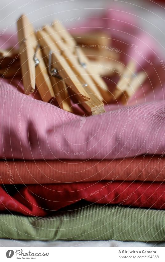Waschtag Arbeitsplatz Wäscheklammern Mode Bekleidung T-Shirt Baumwolle Holz einfach frech Freundlichkeit Fröhlichkeit frisch modern Sauberkeit trocken