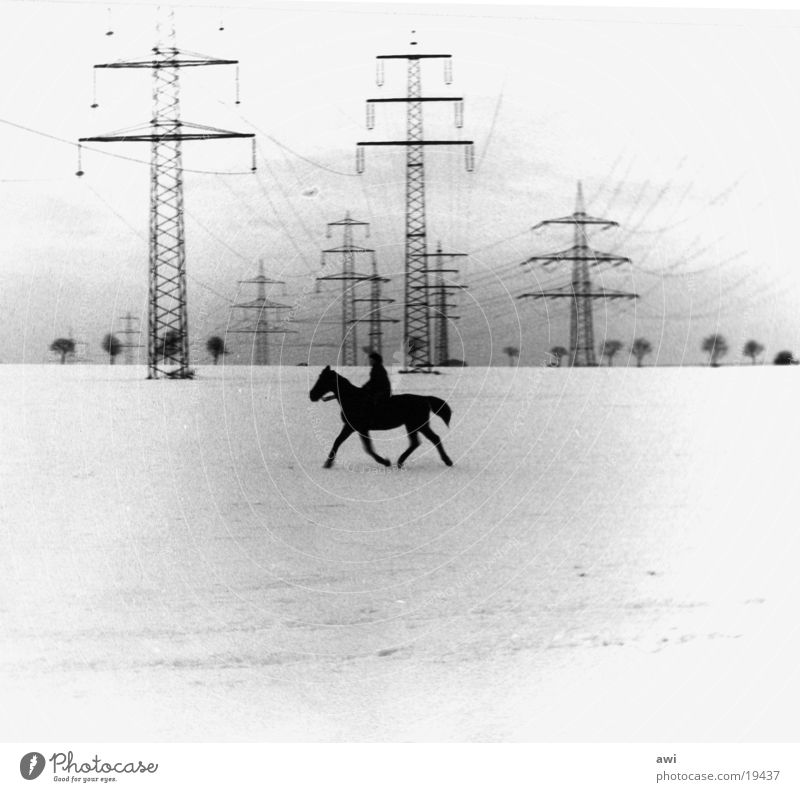 Einsamer Reiter Pferd Feld Strommast Elektrizität Einsamkeit Schnee Schwarzweißfoto