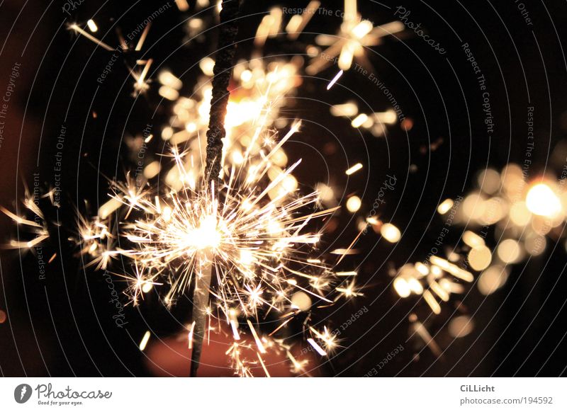 Feuer und Flamme Feste & Feiern Silvester u. Neujahr Jubiläum Urelemente Kerze leuchten gold schwarz Wunderkerze Sternchenfeuer Funken Feuerwerk Pyrotechnik