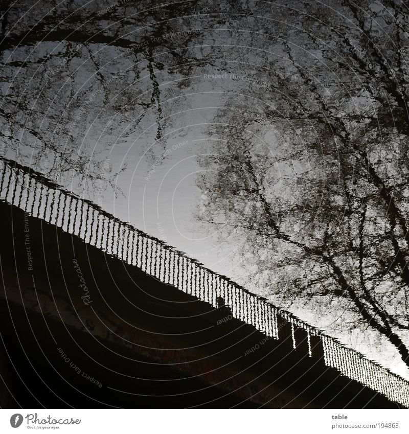 zerrspiegelt Mensch Oberkörper 1 Umwelt Urelemente Wasser Himmel Herbst Winter Pflanze Baum Verkehrswege Fußgänger Straße Brücke Beton Metall laufen dunkel kalt