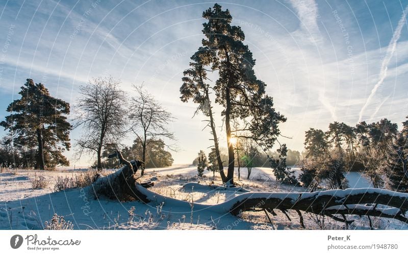 Winter auf der Schwäbischen Alb Tourismus Ausflug wandern Natur Landschaft Pflanze Himmel Wolken Sonne Sonnenaufgang Sonnenuntergang Sonnenlicht Schönes Wetter