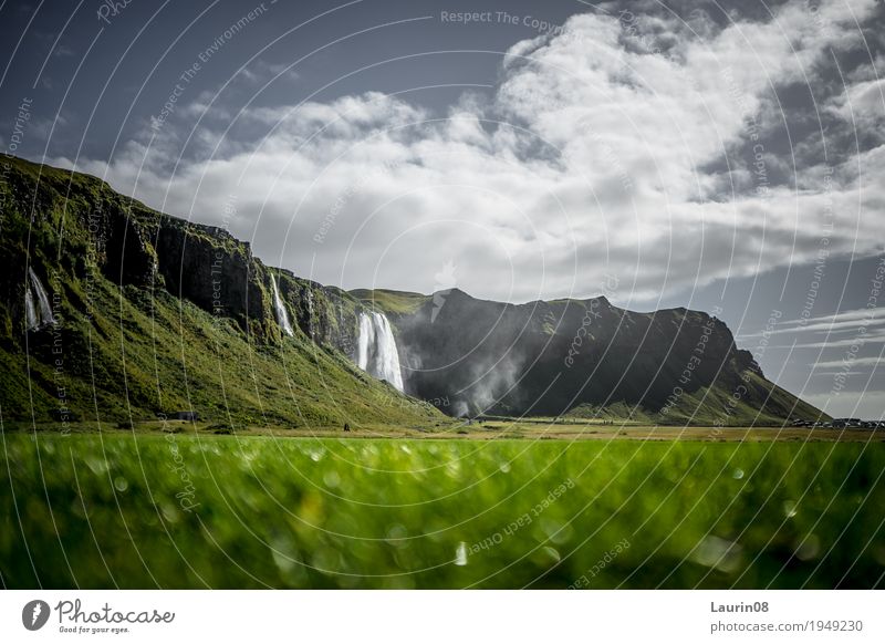 Seljalandsfoss Wasserfall auf Island Ferien & Urlaub & Reisen Tourismus Ausflug Abenteuer Ferne Freiheit Sommer Berge u. Gebirge wandern Natur Landschaft
