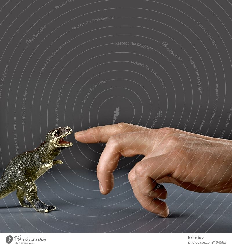 fingerfood Hand Finger Tier Krallen Pfote Fressen Dinosaurier Zeigefinger Biologie Evolution Gebiss beißen Jagd Urzeit Echsen Reptil Landraubtier füttern Zoo