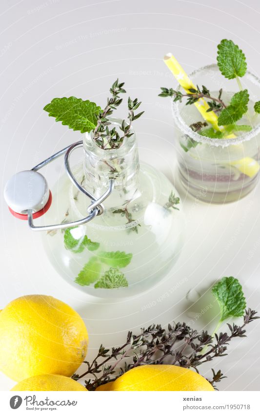 selbstgemachte Zitronenlimonade mit Minze und Thymian auf weißem Grund Trinkwasser Kräuter & Gewürze Getränk Erfrischungsgetränk Limonade Flasche Glas Trinkhalm