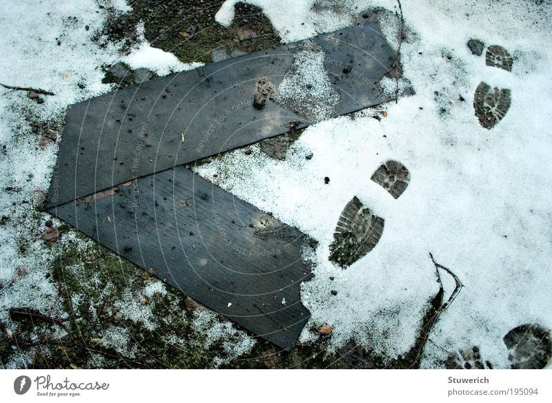 spuren im Schnee Umwelt Landschaft Partnerschaft entdecken Spuren Farbfoto Außenaufnahme Totale Blick nach unten Tag