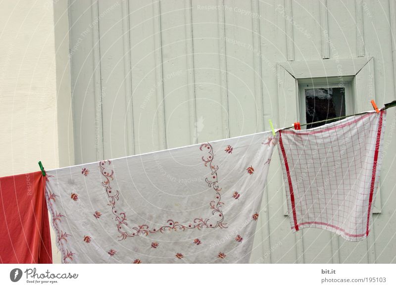 SCHWEDISCHE GARDINEN Stoff hängen Sauberkeit Wäsche Wäscheleine Waschtag Haushalt Fenster Fassade Holzwand Küchenhandtücher Wäsche waschen Wäscheklammern weiß