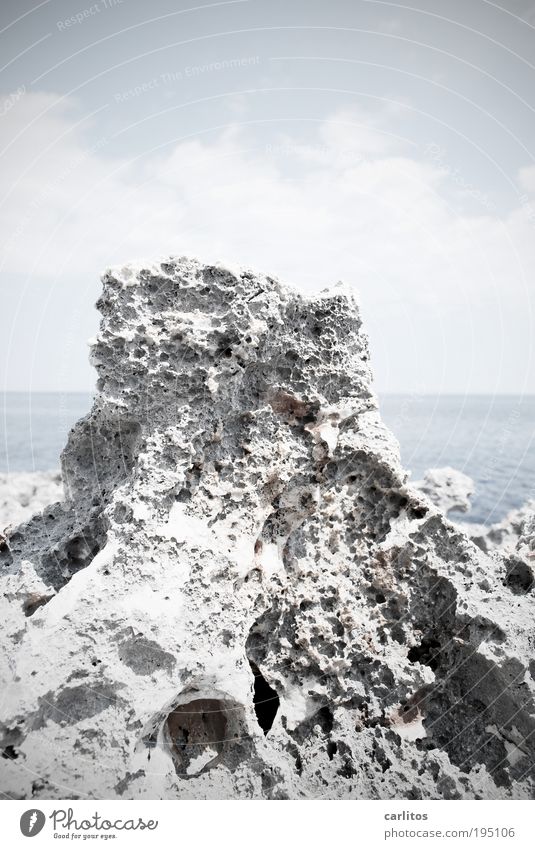 Möwe. Gerade weggeflogen . Umwelt Natur Urelemente Wasser Horizont Sommer Schönes Wetter Wärme Dürre Felsen Küste Riff Meer Mittelmeer trist blau weiß