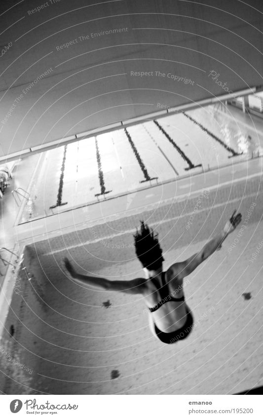 fallen angel Sport Fitness Sport-Training Wassersport Schwimmbad Mensch feminin Junge Frau Jugendliche Rücken 1 18-30 Jahre Erwachsene drehen fliegen springen
