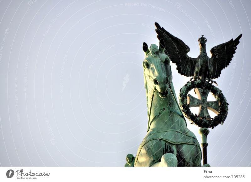 Pferd und Vogel Statue Sehenswürdigkeit Brandenburger Tor Quadriga alt ästhetisch Kupfer Grünspan Grünstich Farbfoto Außenaufnahme Tag Detailaufnahme