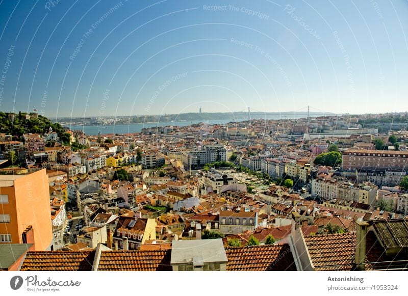 Blick auf Lissabon Pflanze Luft Himmel Horizont Sommer Wetter Schönes Wetter Hügel Flussufer Río Tajo Portugal Stadt Hauptstadt Stadtzentrum bevölkert Haus Park