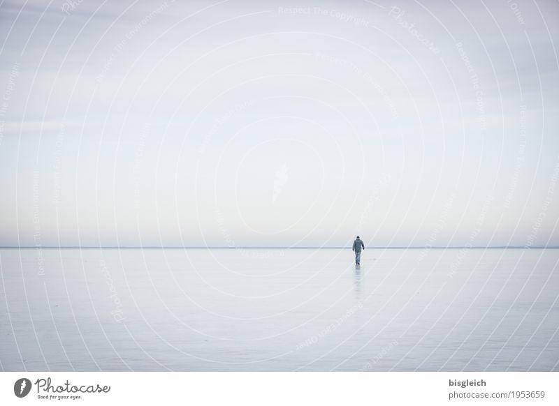Eisspaziergang II Wintersport wandern maskulin Mann Erwachsene 1 Mensch Wasser Himmel Klima Klimawandel Frost See blau grau Einsamkeit Horizont Ferne