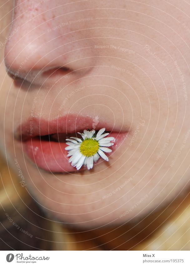 Blumenkind schön Mensch feminin Junge Frau Jugendliche Gesicht Mund Lippen 1 18-30 Jahre Erwachsene Natur Frühling Sommer Schönes Wetter Park Wiese Blühend