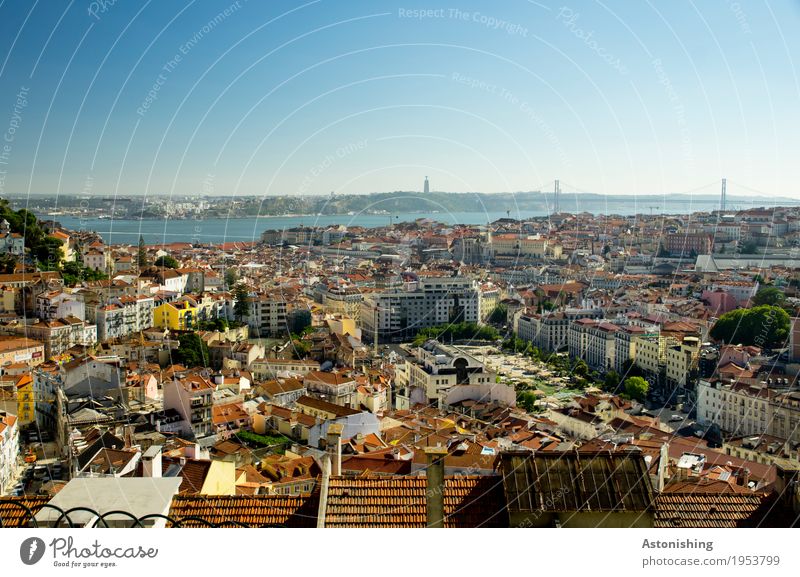 Lissabon von oben Umwelt Natur Himmel Wolkenloser Himmel Horizont Sommer Wetter Schönes Wetter Baum Fluss Portugal Stadt Hauptstadt Stadtzentrum Altstadt Haus