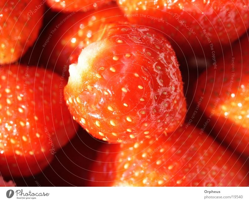 Erdbeer Sommer rot Gesundheit Ernährung Erdbeeren Frucht Vegetarische Ernährung