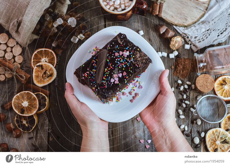 Teller mit Schokolade Sachertorte in weiblichen Händen Kuchen Dessert Süßwaren Essen Frühstück Getränk Kakao Kaffee Dekoration & Verzierung Tisch Restaurant