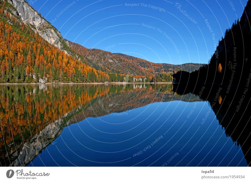 Pragser Wildsee in den Dolomiten, Südtirol, Italien Umwelt Natur Landschaft Pflanze Wasser Himmel Sonnenlicht Herbst Schönes Wetter Baum Grünpflanze Lärche Wald