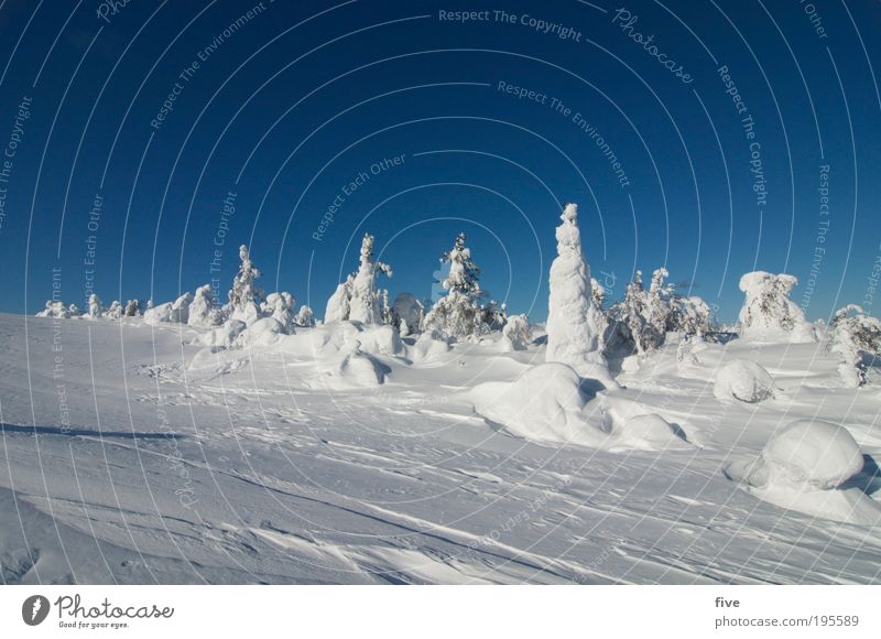 luosto II Ferien & Urlaub & Reisen Tourismus Ferne Winter Schnee Winterurlaub Berge u. Gebirge Natur Landschaft Himmel Wolkenloser Himmel Schönes Wetter Eis