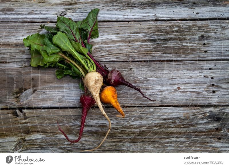 Rote, orange und gelbe rote Rüben Lebensmittel Gemüse Ernährung Essen Bioprodukte Vegetarische Ernährung Gesundheit Gesunde Ernährung Tisch Pflanze Nutzpflanze