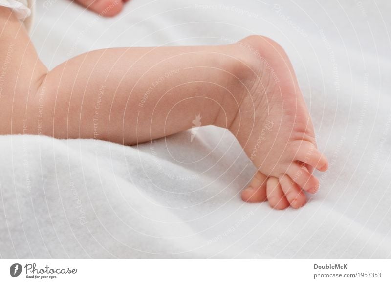 Babyfuß in Bewegung Mensch Haut Beine Fuß Zehen 1 0-12 Monate krabbeln liegen klein nackt niedlich rosa weiß Freude Kraft Mut Tatkraft Energie Kindheit