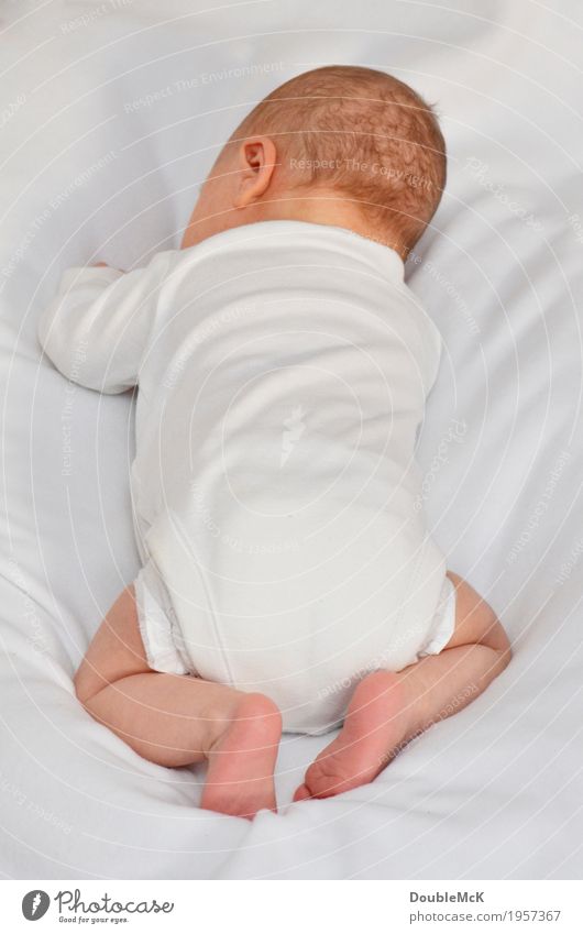 Hinterkopf und Rücken eines Babys, das auf dem Bauch liegt Mensch Körper Haut Kopf Beine Fuß 1 0-12 Monate Erholung knien krabbeln liegen kuschlig klein weich