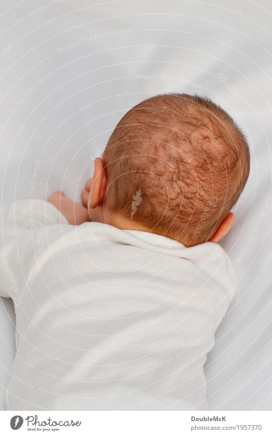 Hinterkopf eines Babys, das auf dem Bauch liegt Mensch Kopf Haare & Frisuren 1 0-12 Monate liegen kuschlig klein weich rosa weiß ruhig Unlust Einsamkeit Hemmung