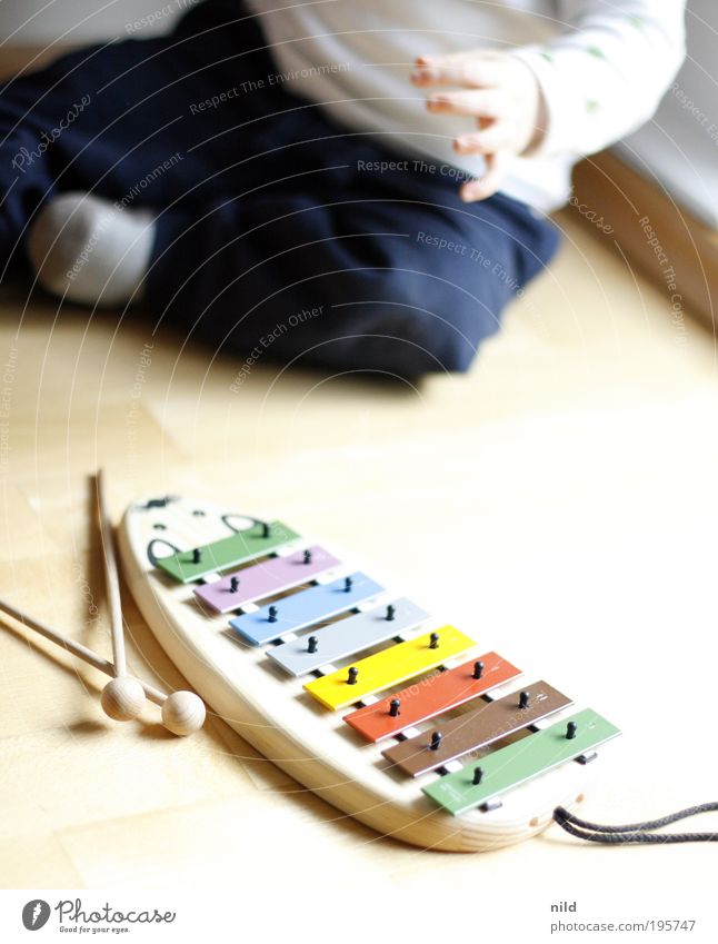 Musikalische Früherziehung Kindererziehung Baby Kleinkind Kindheit 1 Mensch 0-12 Monate 1-3 Jahre Musiker Xylophon Glockenspiel entdecken krabbeln lernen hell