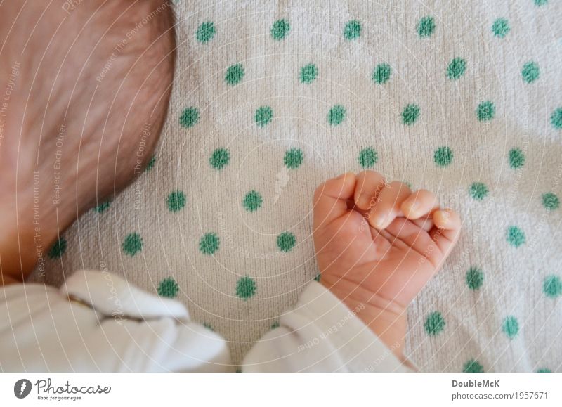 Hinterkopf und Hand eines Babys Mensch Haut Kopf Haare & Frisuren Finger 1 0-12 Monate brünett Punkt Erholung liegen schlafen klein niedlich Wärme grün rosa