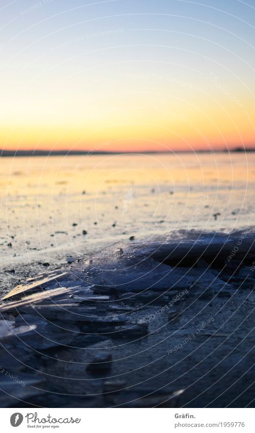 Eiszeit Umwelt Natur Landschaft Wasser Sonnenaufgang Sonnenuntergang Winter Schönes Wetter Seeufer Steinhuder Meer glänzend leuchten Unendlichkeit kalt Kitsch