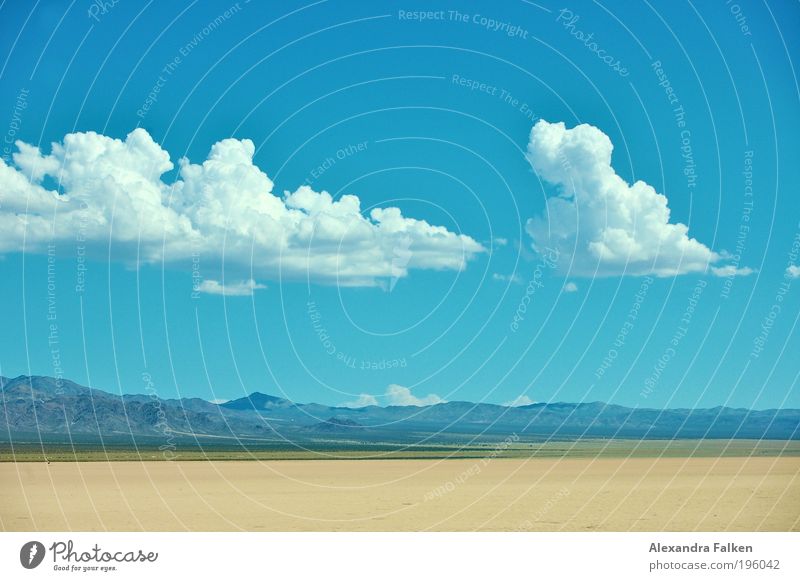 Desert Himmel Wolken Klima Schönes Wetter blau Wüste Wüstenpiste Nevada USA Amerika Autobahn Wolkenhimmel Berge u. Gebirge Hügel Blauer Himmel grün Kontinente