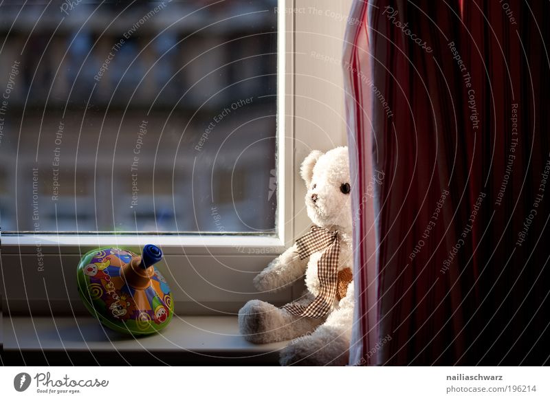 Am Fenster Freizeit & Hobby Spielen Häusliches Leben Wohnung Dekoration & Verzierung Kinderzimmer Spielzeug Teddybär Kreisel Gefühle Zufriedenheit Lebensfreude