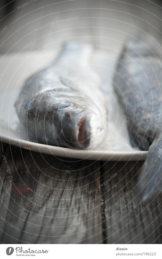 Es gibt Fisch, Baby! Lebensmittel Ernährung Mittagessen Abendessen Tier Totes Tier Tiergesicht Schuppen 2 kalt blau Forelle Fischauge Fischgericht Holz Teller