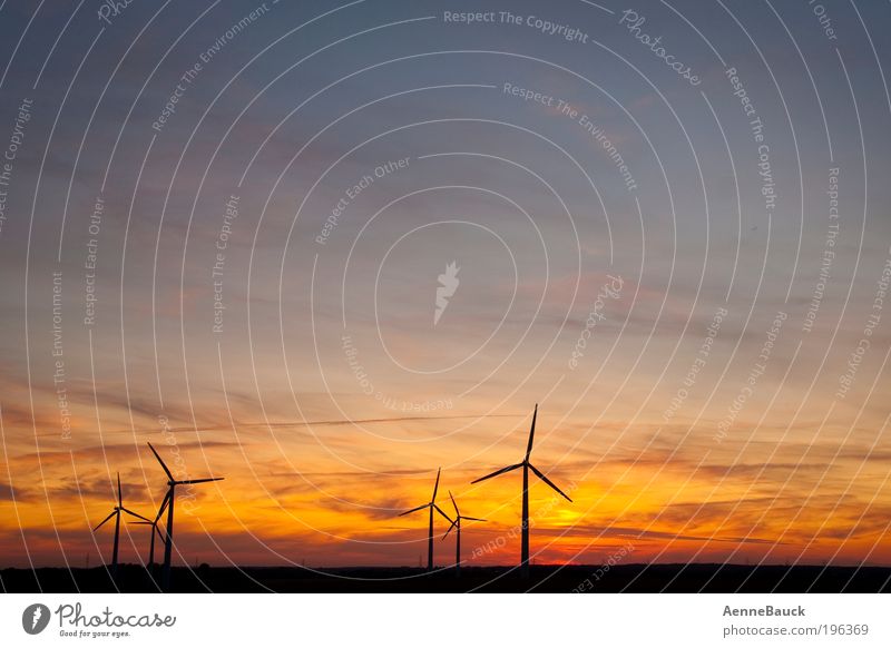 Abendwind Technik & Technologie Fortschritt Zukunft Energiewirtschaft Erneuerbare Energie Windkraftanlage Umwelt Natur Landschaft Luft Himmel Wolken Horizont