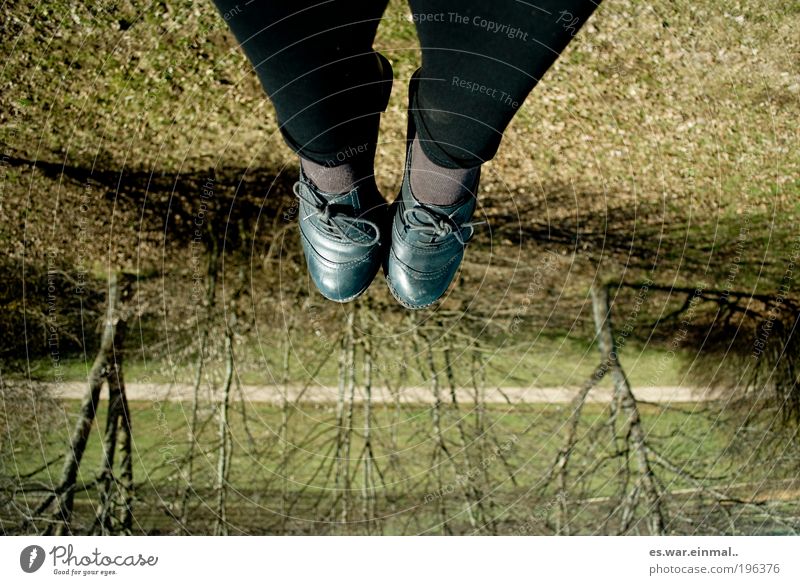 upside.down Fuß Schönes Wetter Baum Wiese hängen hocken liegen sitzen Fröhlichkeit Zufriedenheit Farbfoto Tag