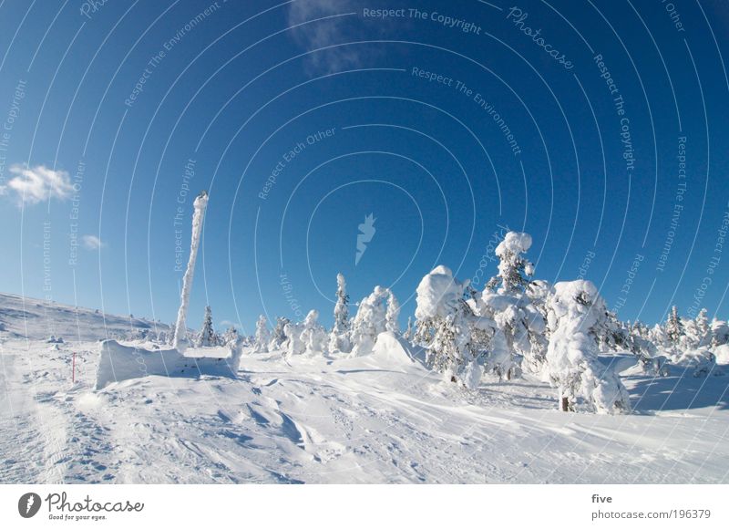 luosto V Ferien & Urlaub & Reisen Tourismus Ausflug Ferne Freiheit Winterurlaub Wintersport Skier Skipiste Natur Himmel Wolken Wetter Schönes Wetter Schnee