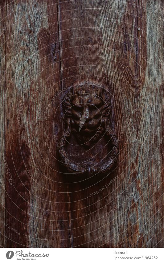Der Löwe Städtereise Venedig Italien Haus Tür Türklopfer Holztür Rost alt authentisch außergewöhnlich dunkel schön braun Löwenkopf Ornament