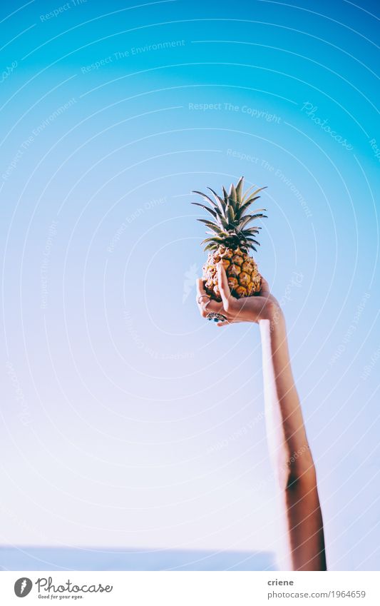 Nahaufnahme der Hand Ananas im blauen Himmel halten Lebensmittel Frucht Essen Lifestyle Freude schön Gesunde Ernährung Sommer Sommerurlaub Sonne Sonnenbad