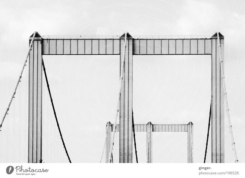 Rodenkirchener Brücke Köln Bauwerk Architektur Verkehrswege Autofahren ästhetisch groß lang Autobahn Hängebrücke weitgespannt Stahlkabel Zwilling Beton
