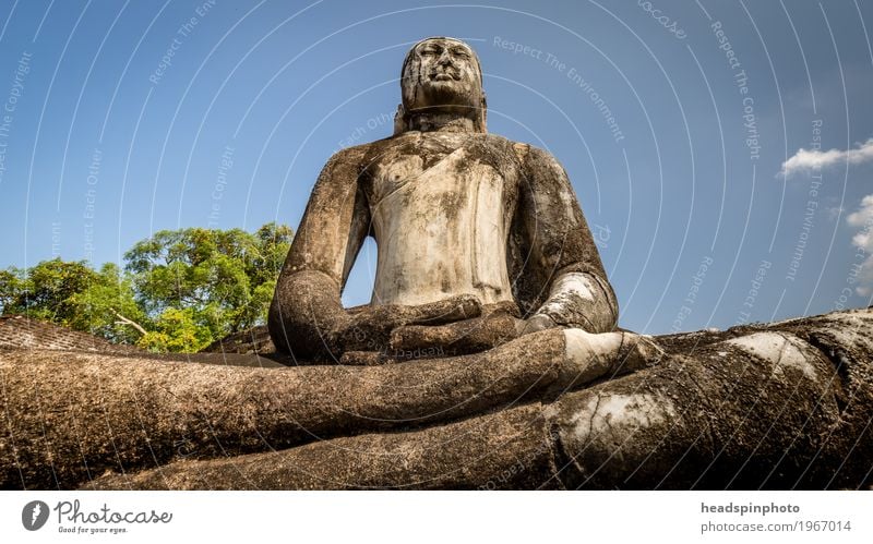 Buddha Statue aus Stein vor blauem Himmel Ferien & Urlaub & Reisen Tourismus Ausflug Abenteuer Ferne Sightseeing Sri Lanka Zufriedenheit Lebensfreude Mitgefühl