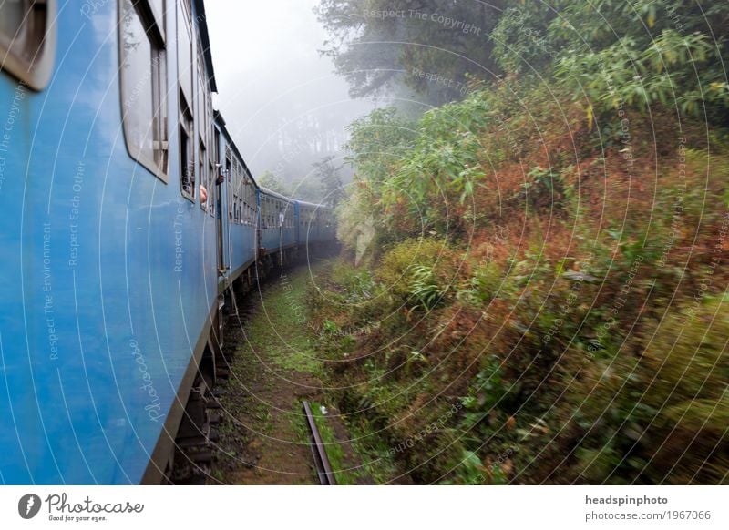Zugfahrt durch Nebel in Sri Lanka Urwald Hügel Berge u. Gebirge Personenverkehr Öffentlicher Personennahverkehr Bahnfahren Schienenverkehr Lokomotive