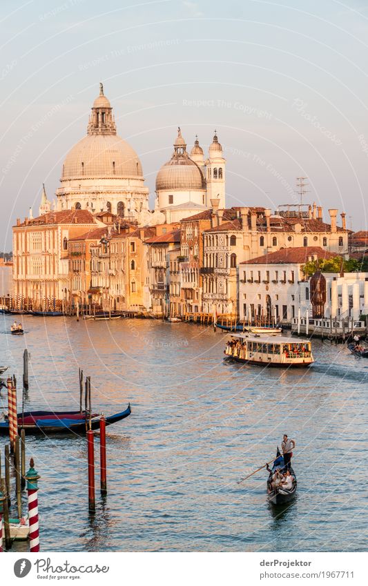 Sonnenaufgang am Canale Grande in Venedig II Blick Zentralperspektive Starke Tiefenschärfe Morgendämmerung Licht Schatten Kontrast Textfreiraum Mitte