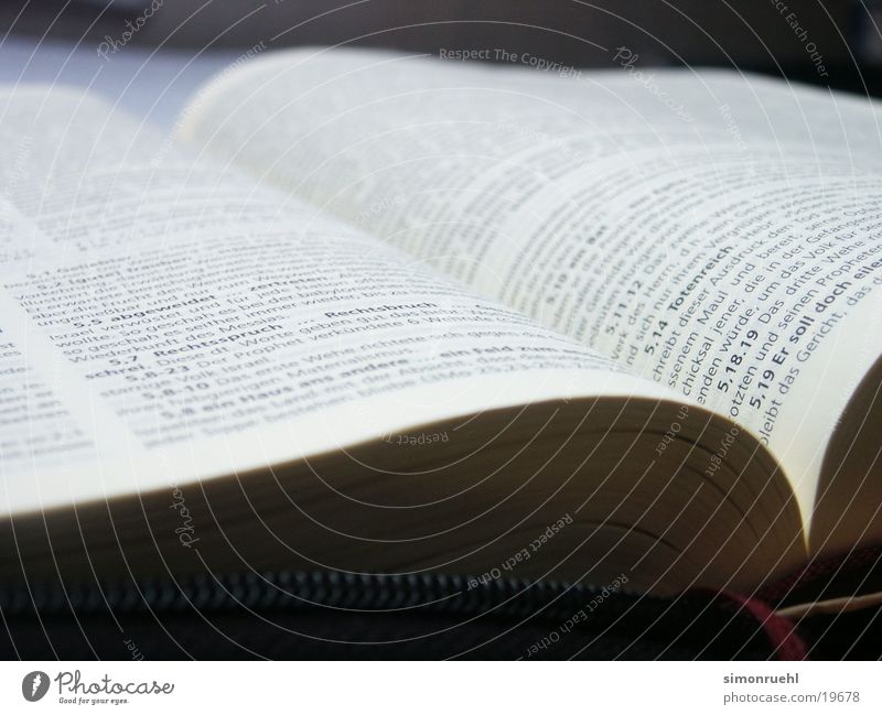gods word Bibel Buch Bibliothek heilig Götter Wort historisch Schriftzeichen Gott