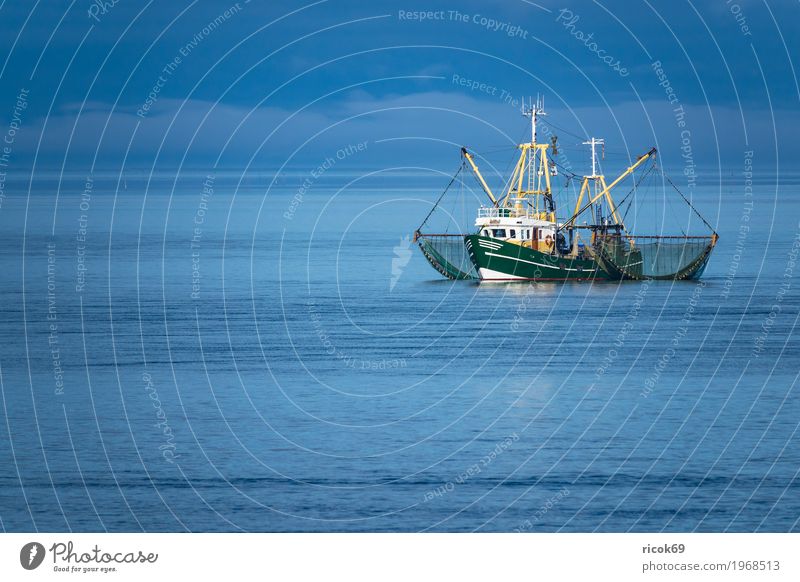 Krabbenkutter auf der Nordsee vor der Insel Föhr Erholung Ferien & Urlaub & Reisen Tourismus Wasser Wolken Küste Fischerboot Wasserfahrzeug Netz Natur