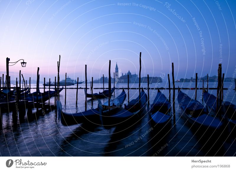 Blaue Stunde Wasser Himmel Wolkenloser Himmel Schönes Wetter Wellen Küste Meer Adria Insel Venedig Stadt Altstadt Menschenleer Kirche Hafen Sehenswürdigkeit