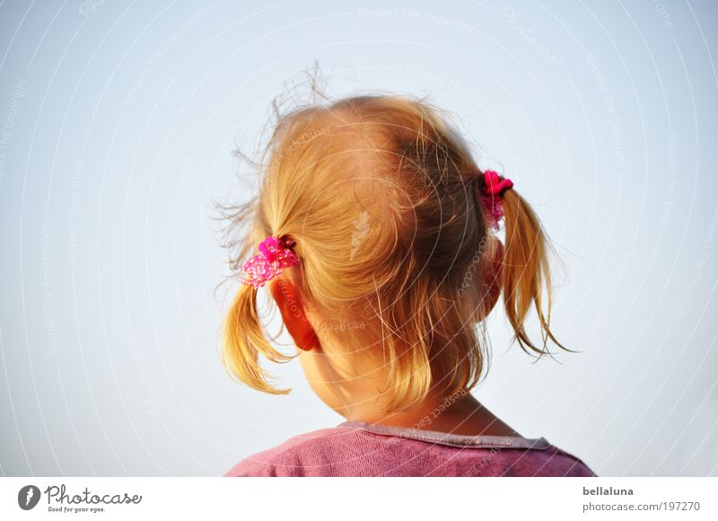 Verträumt Mensch Kind Mädchen Kindheit Leben Haut Kopf Haare & Frisuren Ohr 1 3-8 Jahre Himmel Wolkenloser Himmel Wetter Schönes Wetter träumen Zopf