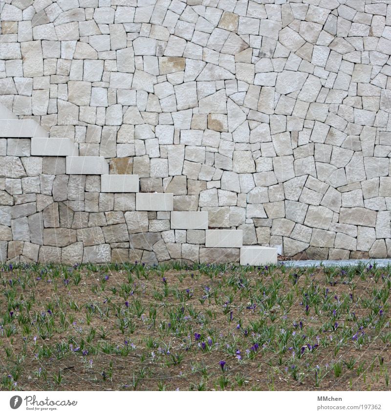 Puzzle Park Mauer Wand Treppe Fußgänger Wege & Pfade Stein gehen grau Anlage herauf abwärts Krokusse Zugang steinig Zyklopenmauerwerk Farbfoto Außenaufnahme