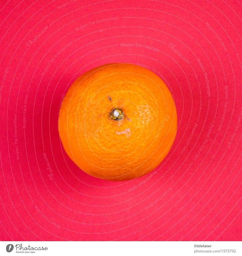 fröhliche Orange Frucht Essen Frühstück Bioprodukte Vegetarische Ernährung Diät exotisch Fröhlichkeit frisch Gesundheit rosa rot schön lecker sauer spritzig