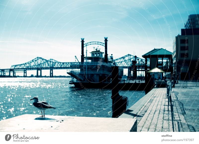 mrs. hibbie New Orleans USA historisch Mississippi Raddampfer Fluss Brücke Flussufer Möwe Cross Processing Schönes Wetter mark twain mehrfarbig Außenaufnahme