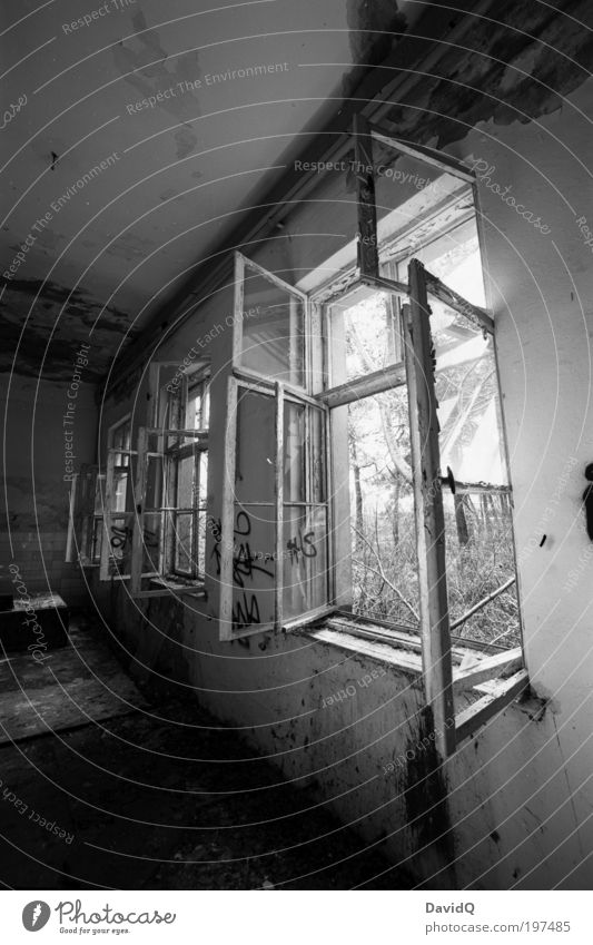 offen Ruine Bauwerk Gebäude Fenster alt kaputt schwarz weiß Verfall Schwarzweißfoto Innenaufnahme Menschenleer Tag Kontrast Langzeitbelichtung